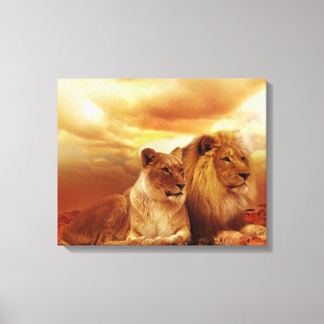 Lions Canvas Print (Front)