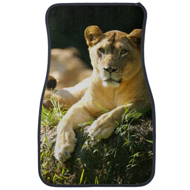 Lions Car Mat (Front)