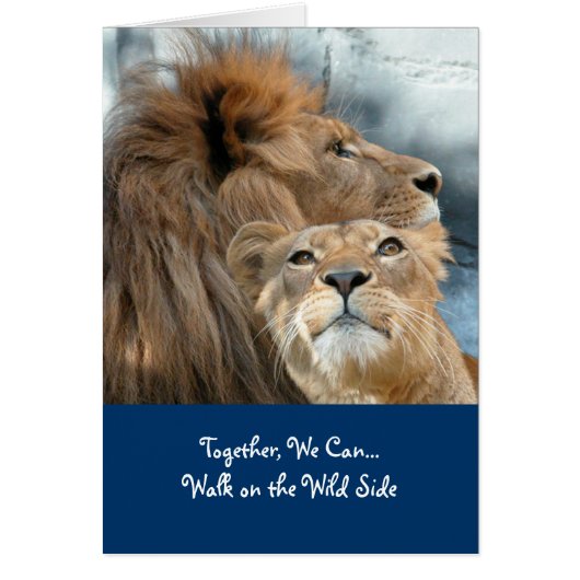 Lions Cards (Front)