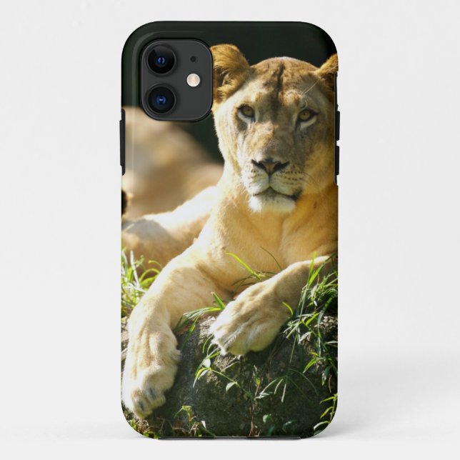 Lions Case-Mate iPhone Case (Back)