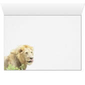 (Lions Clubs) Lion licking his lips (Masai Mara) (Inside Horizontal (Bottom))