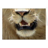 (Lions Clubs) Lion's Nose & Mouth (Masai Mara) (Front Horizontal)