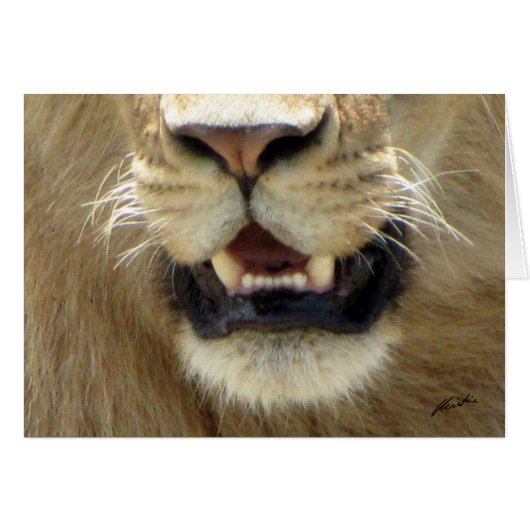 (Lions Clubs) Lion's Nose & Mouth (Masai Mara) (Front Horizontal)
