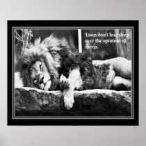 Lions don't lose sleep over the opinions of sheep- poster