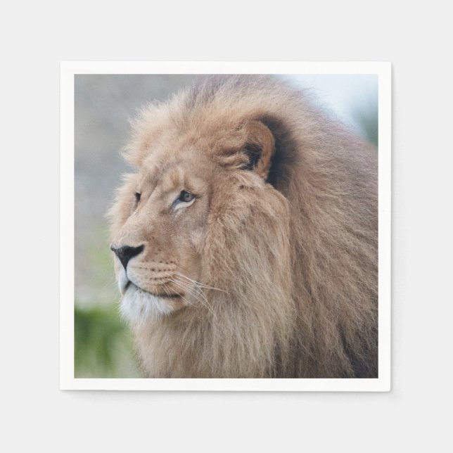 Lion's Embrace Napkins (Front)