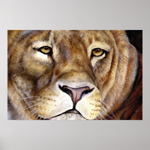 Lions face fine art poster