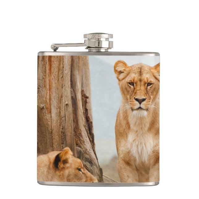 Lions Flask (Front)