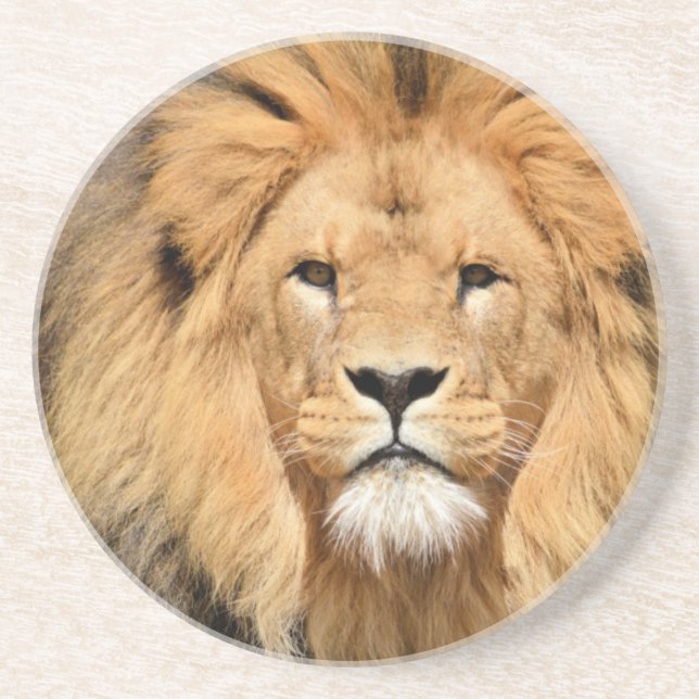 Lions Head Sandstone Coaster (Front)