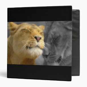 Lions in Love 3 Ring Binder
