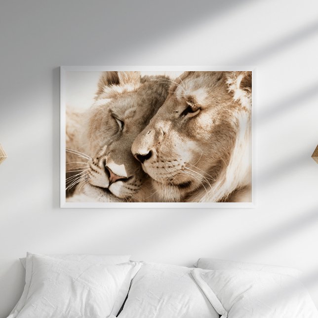 Lions Love Safari Animals Photography Poster (Lions Love Safari Animals Photography Poster in a white boho bedroom.)