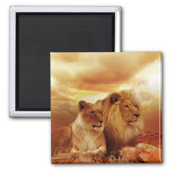 Lions Magnet by MarblesPictures at Zazzle