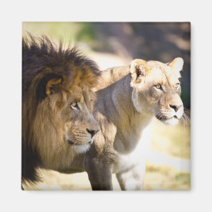 Lions Magnet