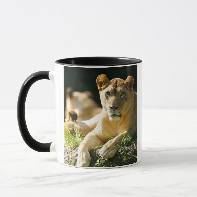 Lions Mug (Left)