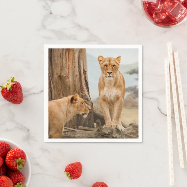 Lions Napkins (Insitu)