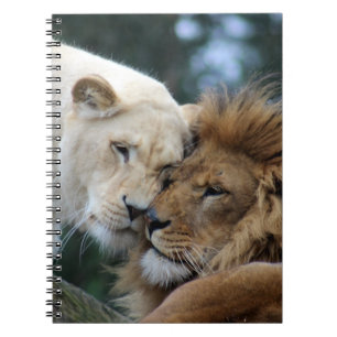 Lions Notebook