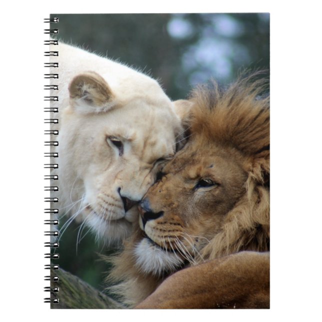 Lions Notebook (Front)