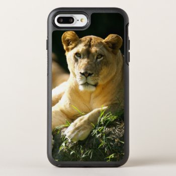Lions Otterbox Symmetry Iphone 8 Plus/7 Plus Case by wildlifecollection at Zazzle