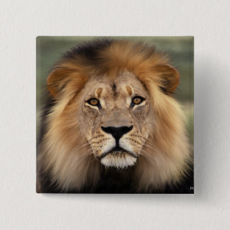 Lions Photograph Button