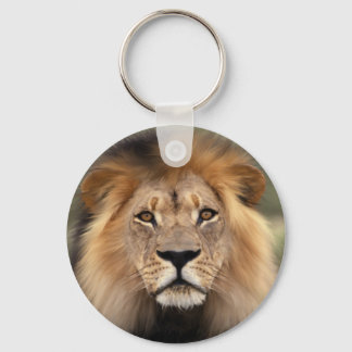 Lions Photograph Keychain