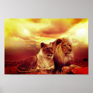 : Lion and Lioness Wall Art Love Quotes Animal Canvas Prints  Painting Vintage Lions Couple Pictures Framed Rustic Artwork Home Decor for  Bathroom Bedroom Dining Living Room 24x16: Posters & Prints