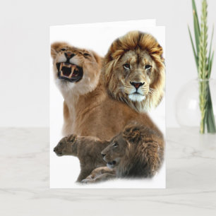 Lions Pride Card