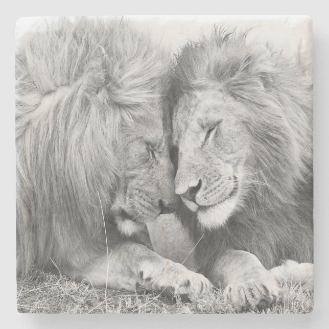 Lions Stone Coaster (Front)