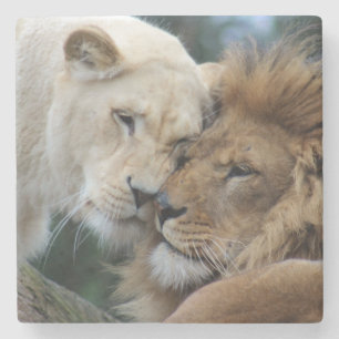 Lions Stone Coaster