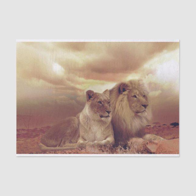 Lions Tissue Paper (Front)