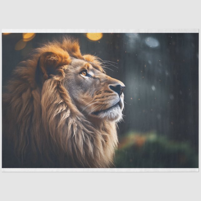 Lion's Tranquility Tissue Paper (Front)