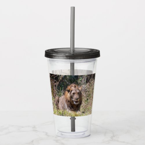 Lions Tumbler