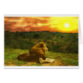 Lion's View (Front Horizontal)