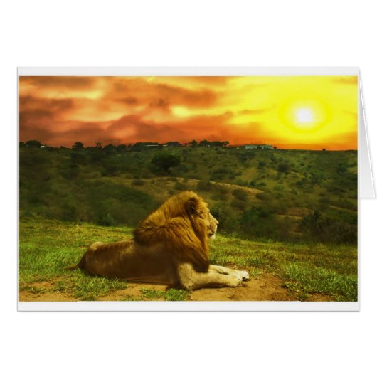 Lion's View Cards (Front Horizontal)