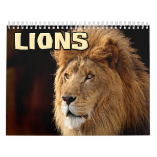 Lion Calendars  Zazzle