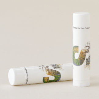 Lip Balm beauty spring Butterflies