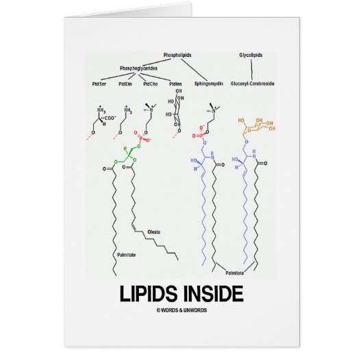 Lipids Inside (Chemical Molecules) Cards (Front)