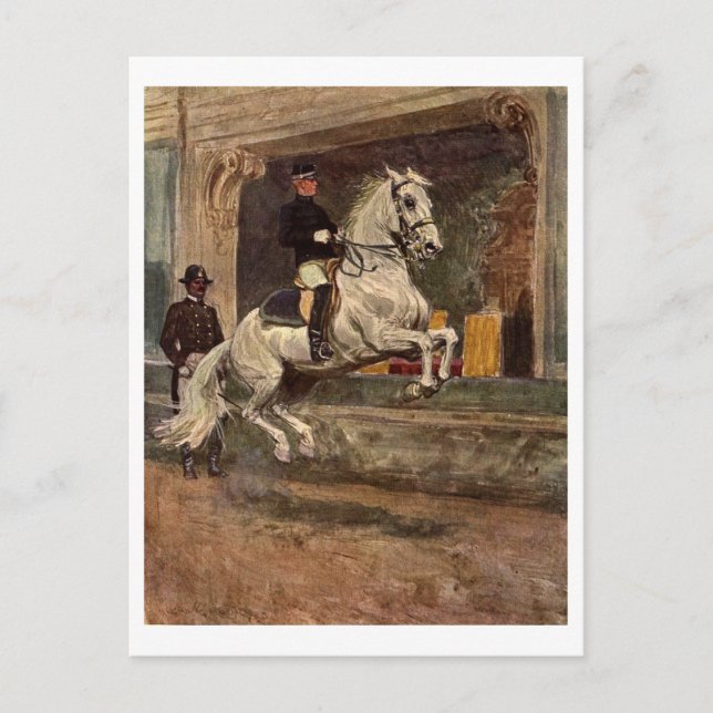 Lipizzan Dressage Postcard (Front)