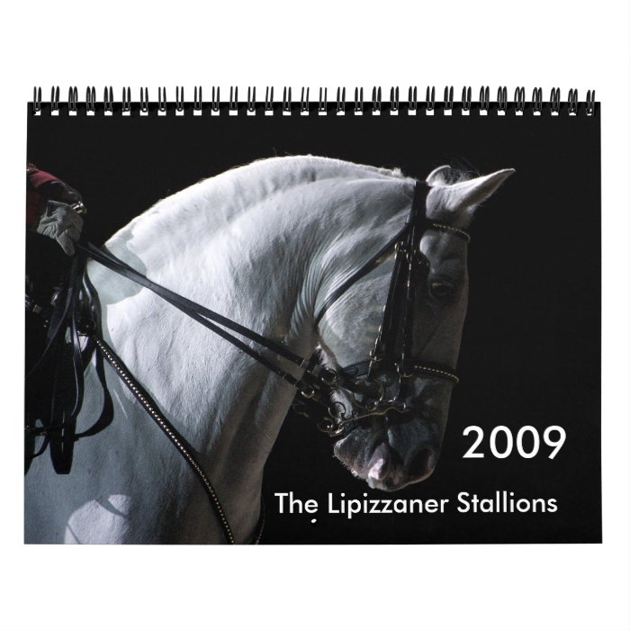 Lipizzaner Stallions Calendar