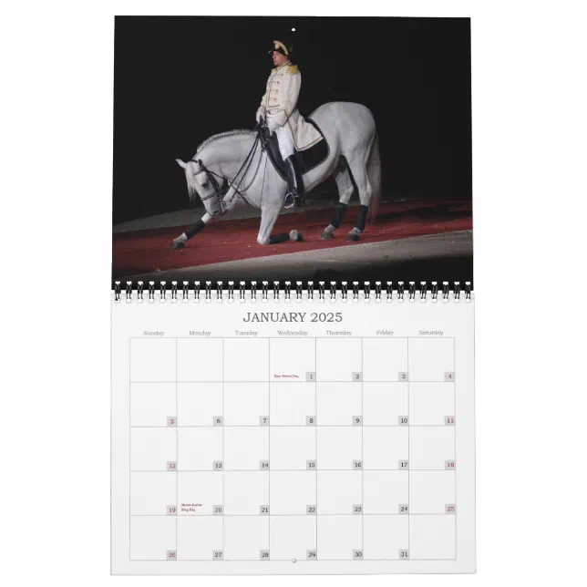 Lipizzaner Stallions Calendar Zazzle