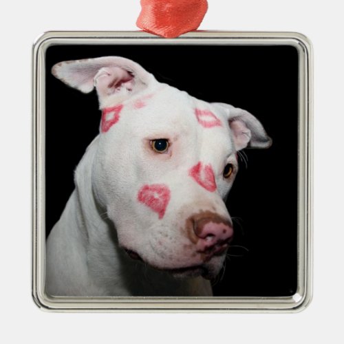 Lipstick Kisses of Love for the Pitbull Dog Metal Ornament