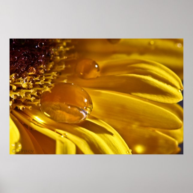 Liquid Gold Poster (Front)