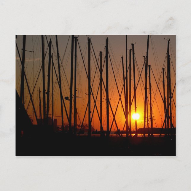 Lisbon, Portugal Postcard (Front)