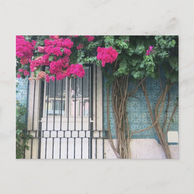 Lisbon Tiles & Flowers Bouganvillea Postcard (Front)