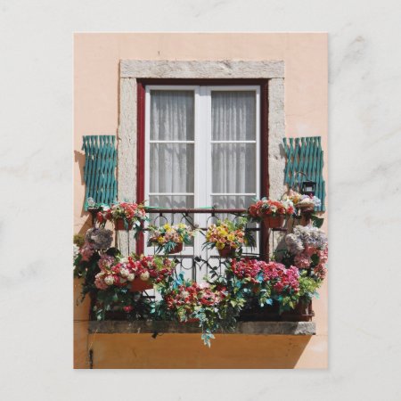 Lisbon's Window Balcony Postcard