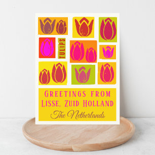 Lisse Tulips Netherlands Zuid Holland  Postcard