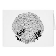 Listakora Seashell Card with Envelope