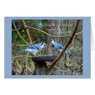 Listen, Hear me Blue Jays Parakaleo note card