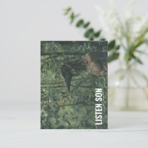 Listen Son Forest Birdman Postcard