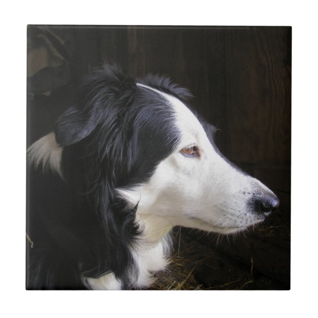 Listening Ceramic Tile (Front)