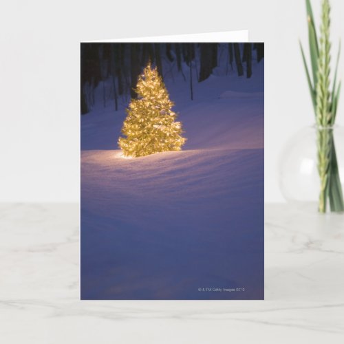 Lit Christmas tree outside Holiday Card