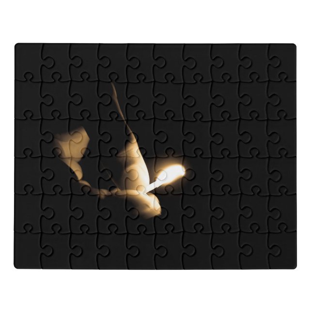 Lit Match Jigsaw Puzzle (Puzzle Horizontal)